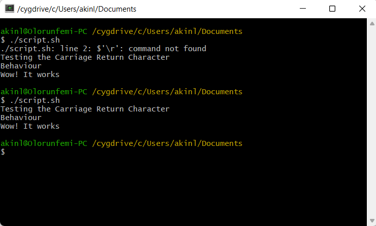 Solve R Command Not Found on Bash (Or Cygwin) | Delft Stack